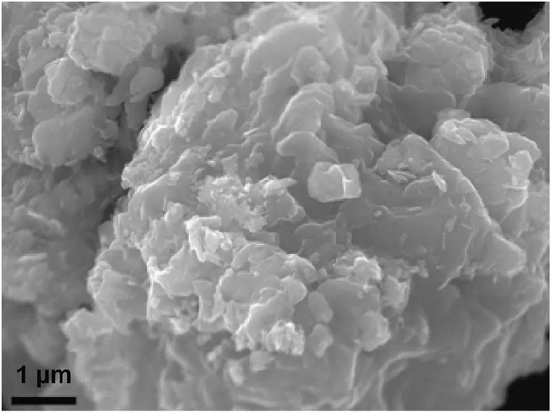 bioceramica